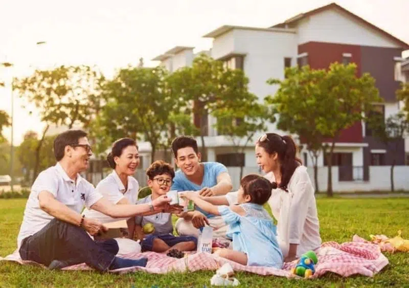 Các trò chơi ngày Tết nên thử: Gợi ý board game vui, dễ chơi tại nhà